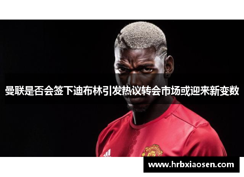 曼联是否会签下迪布林引发热议转会市场或迎来新变数