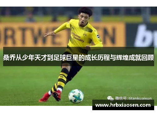 桑乔从少年天才到足球巨星的成长历程与辉煌成就回顾 桑乔从少年天才到足球巨星的成长历程与辉煌成就回顾