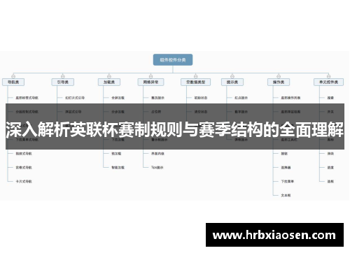 深入解析英联杯赛制规则与赛季结构的全面理解